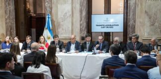 La Bicameral del MegaDNU avanza con el freno de mano puesto