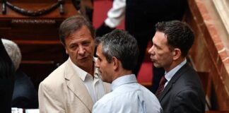 Interna en La Libertad Avanza: Karina Milei metió mano y desplazó a Zago