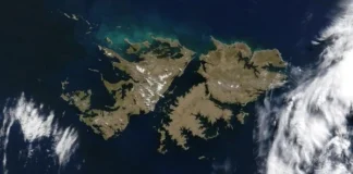 Pesca, petróleo y oro en Malvinas: el tesoro que se roban los piratas