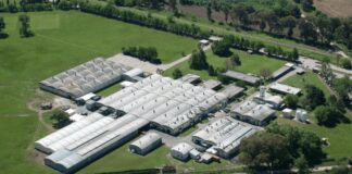 La empresa que produce Voligoma y La Gotita suspendió a todos sus trabajadores