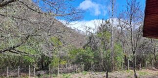 Se cae la opereta que vinculaba a un dirigente social con la obtención ilegal de tierras