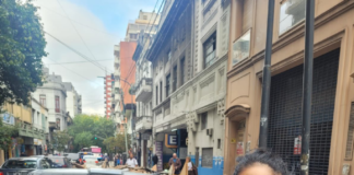 Denuncian que una diputada libertaria se quedó con 4 mil litros de leche para comedores