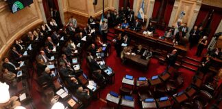 ¿Cuáles son los artículos más polémicos de la Ley Bases?