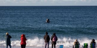 El turismo en desplome: 64,3 por ciento menos que el año pasado