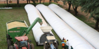 El complejo agroexportador retiene 16 mil millones de dólares y presiona para una devaluación