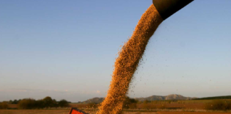 Pese a las medidas del gobierno, el sector agroexportador aplica toda la presión para devaluar