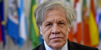 Como sucedió con el golpe en Bolivia, la OEA acelera la desestabilización contra Venezuela