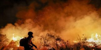 Desastre ambiental y agronegocios: Lula denuncia que los incendios forestales son intencionales