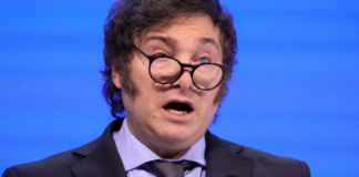 Por qué Milei quiere que haya menos acceso a la Información Pública