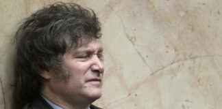 La inversión cae en la era de la libertad y la desregulación