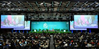 ¿Cómo se prepara Argentina para la COP16; el evento ambiental más importante del mundo?