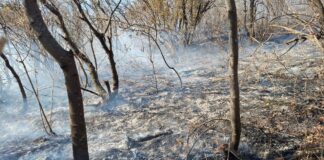 Milei y Llaryora entre la desidia y las responsabilidades de los incendios en Córdoba