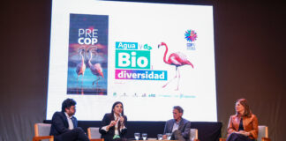 Por primera vez, la provincia tendrá representación en el evento ambiental más importante del mundo