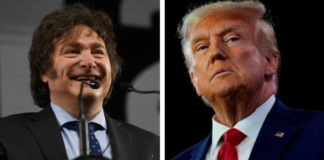 Por qué Milei quiere que gane Trump, pese a no haber construido un vínculo sólido