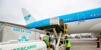 El gobierno habla de “terrorismo sindical” y avanza con la privatización de Aerolíneas Argentinas