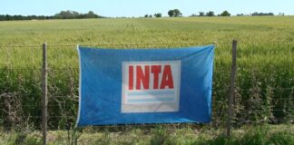 Motosierra para el INTA ¿Quiénes están detrás de su desregulación?