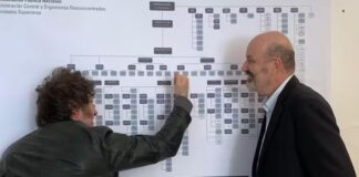 Desde lácteos y carne hasta servicios de telecomunicaciones: la desregulación en favor de los mercados