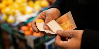 Salario mínimo: cuánto cayó en 2024 y por qué es el valor más bajo en 20 años