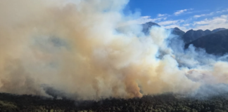 Mientras se incendia el Nahuel Huapi, Bullrich despide brigadistas