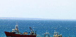 A un año del intento de extranjerizar el mar argentino: La batalla perdida de Milei y Sturzenegger