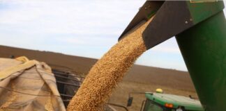 Los ricos más ricos y los trabajadores más pobres: bajan las retenciones… y también los salarios