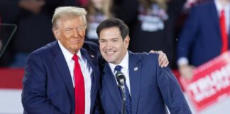 Marco Rubio: de criticar a Trump a ser una pieza fundamental de su nuevo gobierno