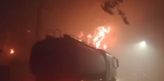 Incendio del Frigorífico Gorina: Sospechan de autosabotaje y vaciamiento