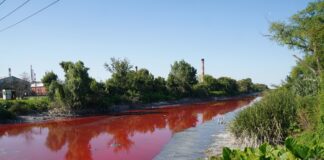 Agua potable en peligro, un privilegio de quienes puedan pagarla