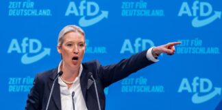 Un fantasma recorre Europa: la ultraderecha alemana hizo una elección récord y se consolida como segunda fuerza