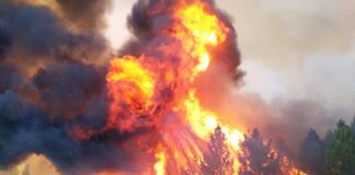 Los incendios en el Sur de Argentina en primera persona: “tengo miedo de que nos prendan fuego la comarca entera”