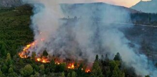 Incendios en la Patagonia: fuego en los bosques y violencia contra manifestantes
