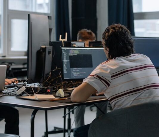 La industria del conocimiento y el mito del freelancer