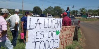 Yerbateros en emergencia por importaciones y desregulación del Instituto de Yerba Mate