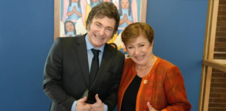 Por qué Milei acudió a otro préstamo con el FMI y qué chances hay de una devaluación