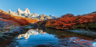 Desregulación de Parques Nacionales argentinos