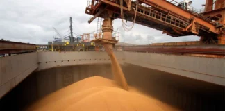 Milei y Caputo estafaron hasta a la Sociedad Rural Argentina