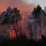 Crónica desde la Patagonia: el fuego continúa activo en Los Alerces