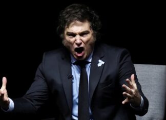 ¿Podemos empezar a discutir lo importante? lo que busca Milei detrás de sus gritos y brotes