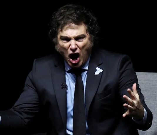 ¿Podemos empezar a discutir lo importante? lo que busca Milei detrás de sus gritos y brotes