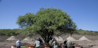 Habeas corpus: Los desaparecidos NO son una incógnita