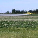 Un juicio que servirá como “efecto escudo” para que el agronegocio deje de fumigar a las personas