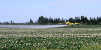 Un juicio que servirá como “efecto escudo” para que el agronegocio deje de fumigar a las personas