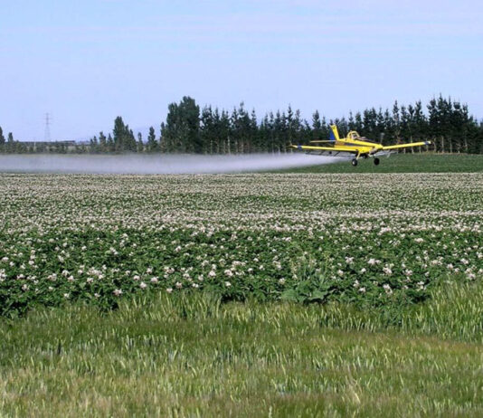 Un juicio que servirá como “efecto escudo” para que el agronegocio deje de fumigar a las personas