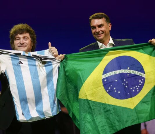 Por apoyar a Bolsonaro, Milei abrió un nuevo conflicto con Brasil