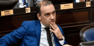 Francisco Adorni el contador público que dibuja declaraciones juradas