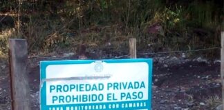 El Senado está por votar una ley que ni Estados Unidos aceptaría