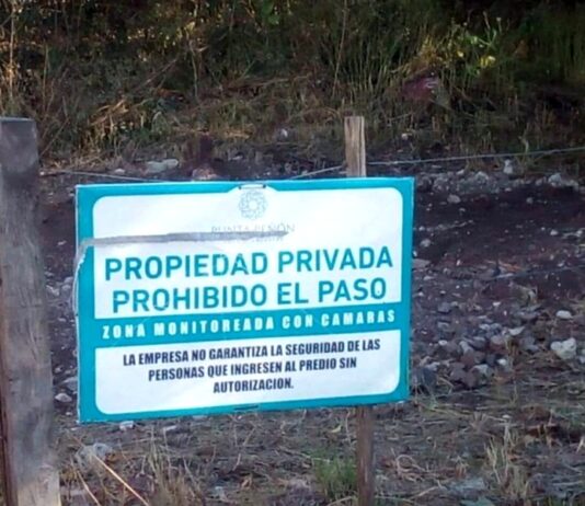 El Senado está por votar una ley que ni Estados Unidos aceptaría