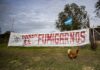 “Estamos en una democracia de los venenos”: la Multisectorial “Paren de Fumigarnos” cumple 20 años