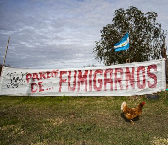 “Estamos en una democracia de los venenos”: la Multisectorial “Paren de Fumigarnos” cumple 20 años